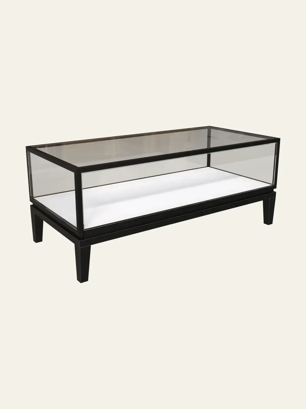 Figure Display Cabinet view 9